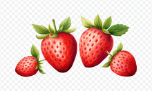 Strawberry Set Isolated Vector Illustration