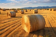 Round Straw Bales On Farmland. Generative AI