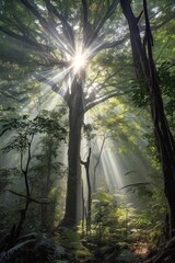 Canvas Print - sun rays piercing through dense tree canopy, created with generative ai