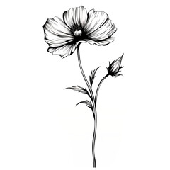Wall Mural - flowers drawing  line art 
