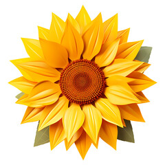 Poster - top view Sunflower flower isolated on a white background , png transparent background