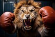 Lion boxer. Lion in boxing gloves. The lion is boxing. Generative AI technology