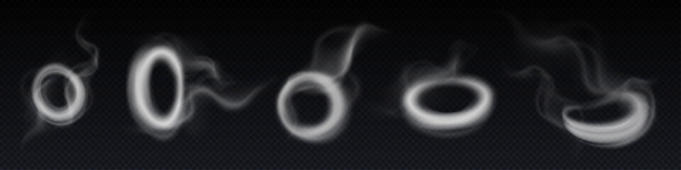 Wall Mural - smoke steam circle ring vector cloud effect. 3d realistic vape or hookah fog line swirl art. magic t