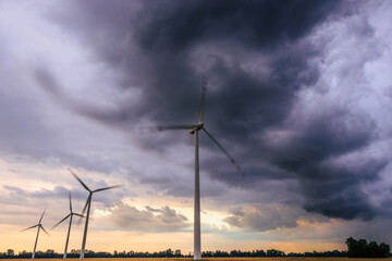 wind turbines in the field