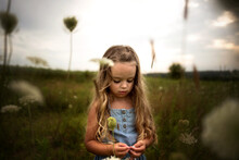 Little Girl Looking At Flowers In Grassy Field