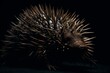 A spiky creature on black. Generative AI