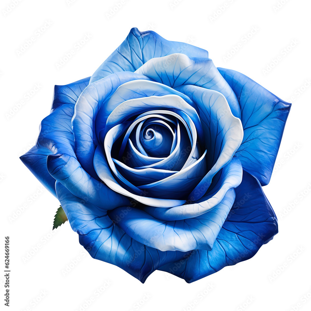 Blue rose with water drops on transparent background Remove png created ...