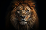 Fototapeta Koty - Animal portrait lion