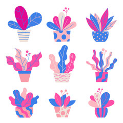Wall Mural - colorful flat flower pots in trendy flat cartoon style. vector illustration for floral banner, cover