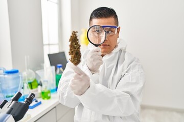 Wall Mural - Young latin man scientist looking cannabis herb with loupe at laboratory