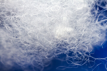 Extreme macro of polyester stable fiber on blue background