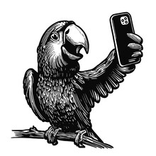 Parrot Taking A Selfie Sketch
