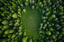 Aerial Top Down View Of A Green Forest With Human Fingerprint In The Middle , Deforestation And Human Impact On Nature Biodiversity Concept Illustration