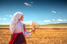 Harvest Time Of Golden Wheat Field And Girl In Traditional Ethnic Folklore Costume With Bulgarian Embroidery Working On A Meadow