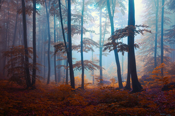 Poster - Foggy mystic forest. Trees in autumn woodland in a fog..