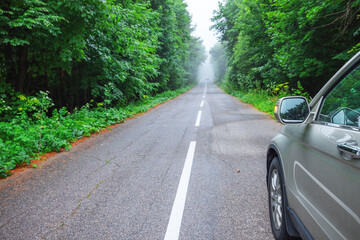 Wall Mural - car travel on the road in a forest in misty foggy morning in the mountain range