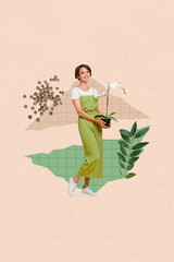 Poster - Artwork magazine collage picture of happy smiling lady growing beautiful orchid isolated beige color background