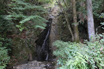 Wall Mural - 丹沢大山の二重滝　Double waterfall in Tanzawa Oyama