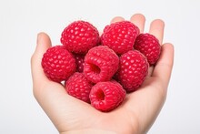A Person Holding A Bunch Of Raspberries In Their Hand. Growing Raspberries, Eating Raspberries, Raspberry Health Benefits, Raspberry Nutritional Value, Raspberry Picking Tips. Generative AI