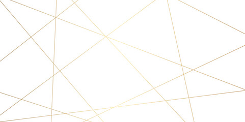 Luxury premium golden random chaotic wave lines abstract background. Vector, illustration.