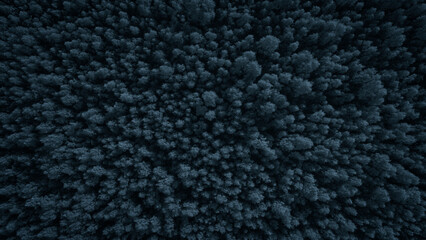 Aufkleber - Aerial view of a dark  winter snow-covered pine forest. Winter forest texture. Aerial view. Aerial drone view of a winter landscape. Snow covered forest. Aerial photography winter texture background