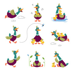 Wall Mural - Funny Dabbling Duck Character Engaged in Different Activity Vector Set