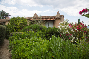 Wall Mural - Mediterranean garden design and landscaping, Provence, France: Front garden of a typical provencal house planted with oleander, bushes and various green plants 