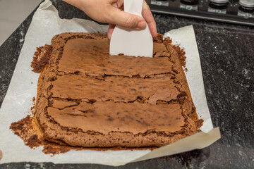 woman cutting homemade gourmet brownie