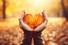 Two Human Hands Forming A Heart - Autumn Background.