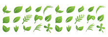 A Set Of Green Leaves On A White Background With And Without A Shadow, For Logos, Designs, For The Symbolism Of The Green Planet