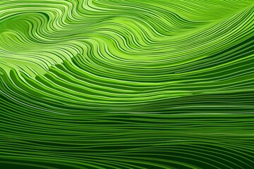 Wall Mural - Abstract organic green macro close-up lines like to rice fields. 