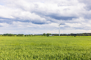 Poster - Field with crops and wind power