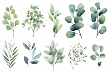 Watercolor Floral Illustration Set - Green Leaf Branches Collection, For Wedding Stationary, Greetings, Wallpapers, Fashion, Background. Eucalyptus, Olive, Green Leaves, Etc. 