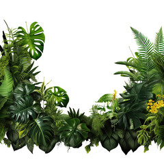 Poster - Nature frame of jungle trees with tropical rainforest foliage plants .