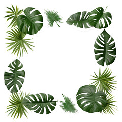 Poster - Tropical leaves nature frame layout of Monstera and split-leaf philodendron the exotic foliage plants isolated on white background