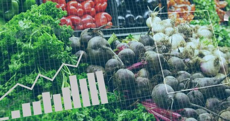 Poster - Animation of statistics and data processing over vegetables in baskets in food shop