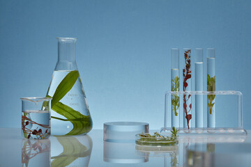 Laboratory concept for advertising cosmetic product with seaweed extract. Some lab glassware containing different types of seaweed with transparent liquid decorate on backlit blue background