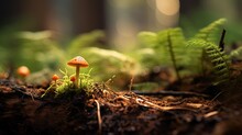 Cute Small Mushroom Grow From Soil With Forest Background, Genearative Ai