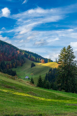 Wall Mural - autumn in the mountains, colorful autumn landscape