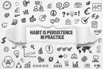 Wall Mural - habit is persistence in practice	
