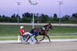 Trotting racehorses and rider on a stadium track. Competitions for trotting horse racing. Horses compete in harness racing. Horse running on the track with the rider at sunset.
