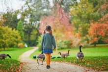 Adorable Preschooler Girl Looking At Canada Geese In Park Bagatelle, Paris, France