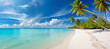 Beautiful beach with white sand, turquoise ocean, blue sky with clouds and palm tree over the water