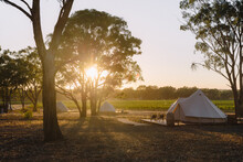 Sunrise Over A Vineyard With Glamping Tents
