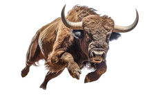 Angry Bull Running Isolated On Transparent Background