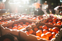 Mandarins For Sale At Flemington Farmers Market In Sydney