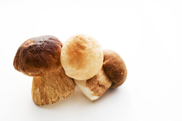 Wall Mural - Fresh forest porcini mushrooms on a white surface close up, soft focus	
