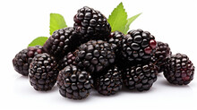 Blackberries In A Pile Isolated On A White Background