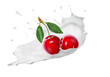 Splash and drops yogurt, milk, ice cream cherries isolated