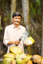 Coconut Water Vendor - Indian Man Selling Fresh Nariyal Paani On Street